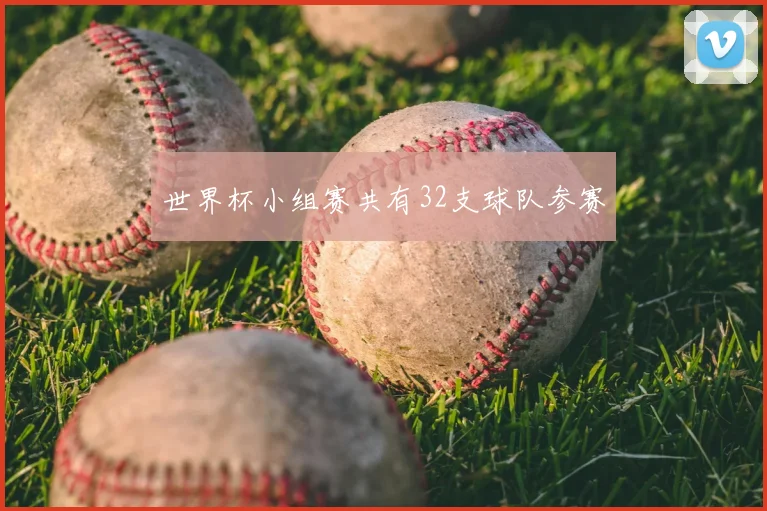 世界杯小组赛共有32支球队参赛