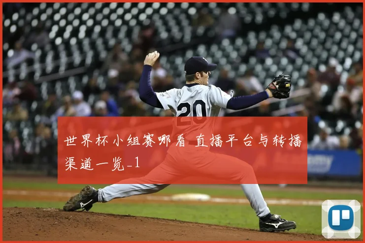 世界杯小组赛哪看 直播平台与转播渠道一览_1