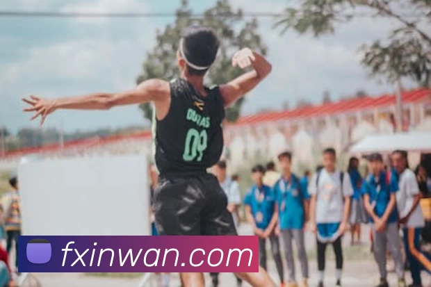 App Interface Preview